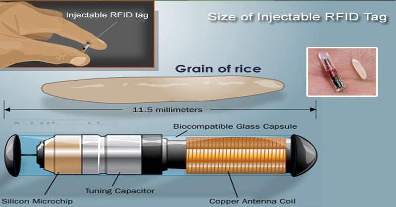 Pic of Grain of rice vs micro chip